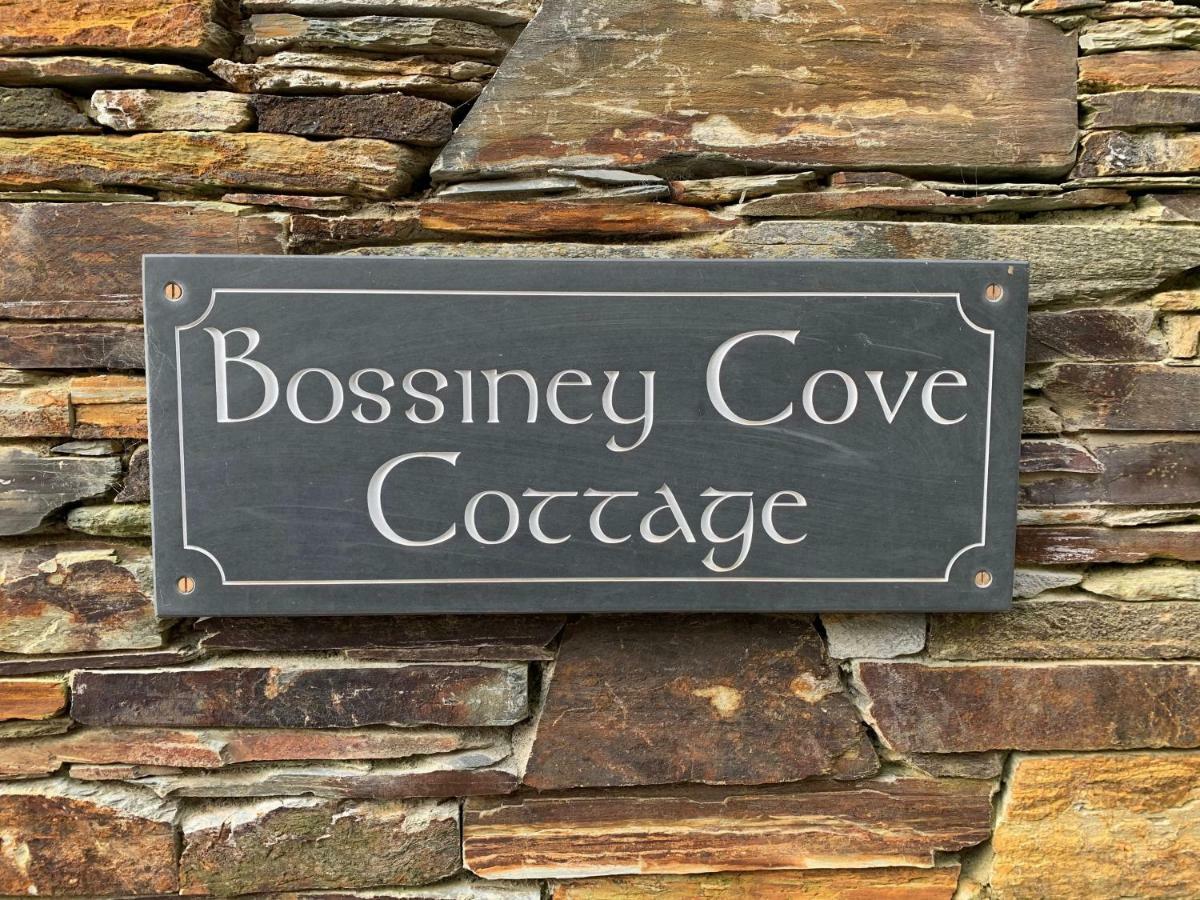 Bossiney Cove Cottage Tintagel Exterior foto